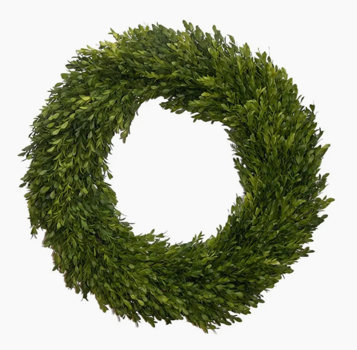 Round Boxwood Wreath - 24"