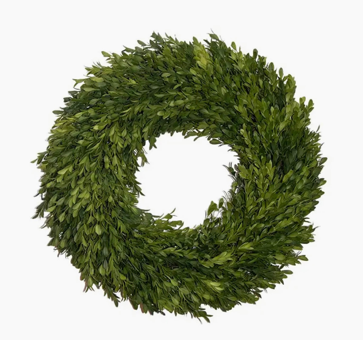 Round Boxwood Wreath - 18"